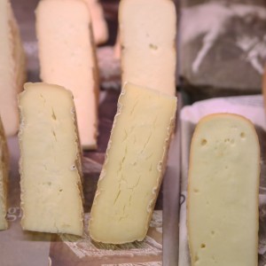 Taleggio Dop