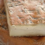 Taleggio Dop