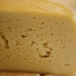 Asiago DOP Pressato