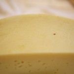 Asiago DOP Pressato