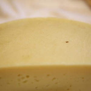 Asiago DOP Pressato