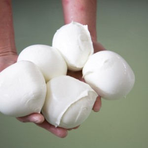 Mozzarella di bufala campana Dop