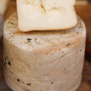 Pecorino Sardo Dop Dolce