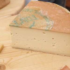 Fontina Dop