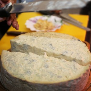 Gorgonzola Dop