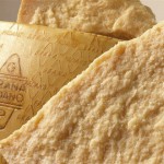 Grana Padano Dop oltre 16 mesi