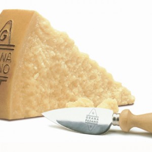 Grana Padano Dop