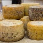 Pecorino di Filiano Dop