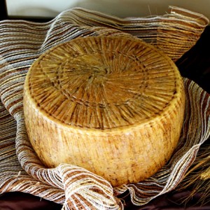 Pecorino di Filiano Dop