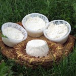 Ricotta di bufala campana Dop