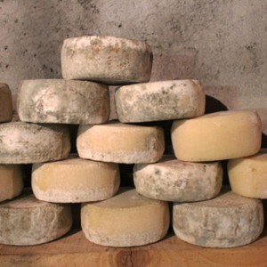 Formaggio di malga