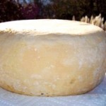 Cascio Pecorino lievito