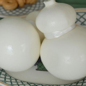 Scamorza vaccina