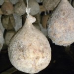 Caciocavallo Irpino di grotta