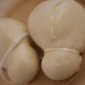 Scamorza molisana