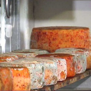 Pecorino del Monte Poro