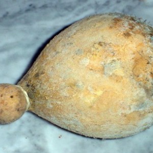 Caciocavallo Irpino di grotta