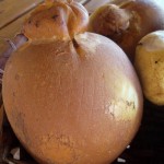 Caciocavallo di bufala affumicata