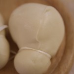 Scamorza molisana