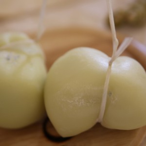 Scamorza