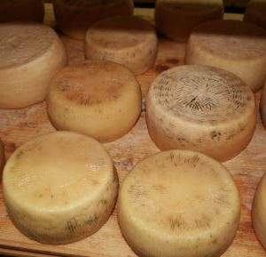 Pecorino di Farindola