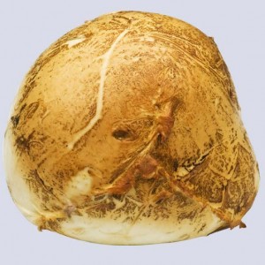 Provola affumicata (Campania)