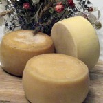 Pecorino di Amatrice