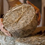 Pecorino di Bagnolese