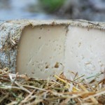 Pecorino di Bagnolese