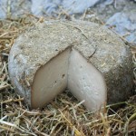 Pecorino di Bagnolese