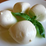 Bocconcini alla panna di bufala