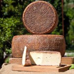 Pecorino di Laticauda