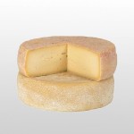 Pecorino di Laticauda