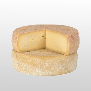 Pecorino di Laticauda