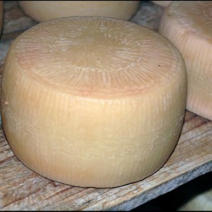 Pecorino del Monte Marzano