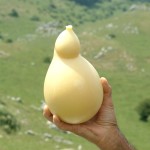 Caciocavallo (Molise)