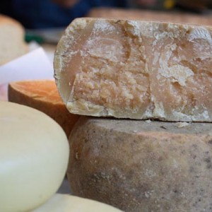 Caciotta (Marche)