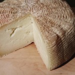 Pecorino (Viterbese, Ciociaro, di Picinisco)