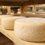 Pecorino marchigiano