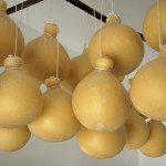 Caciocavallo Podolico (Campania)