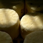 Pecorino primo sale (Calabria)