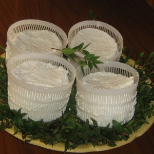 Ricotta di stazzo