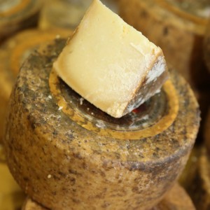 Pecorino in grotta del viterbese stagionato 20 mesi