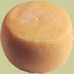 Pecorino del pastore