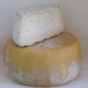 Formaggio di Pietracatella