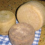 Pecorino fresco o stagionato (Campania)