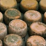 Pecorino stagionato (Campania)