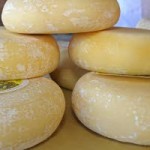 Pecorino a latte crudo della provincia di Siena