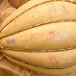 Provolone vaccino