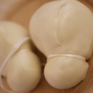 Scamorza